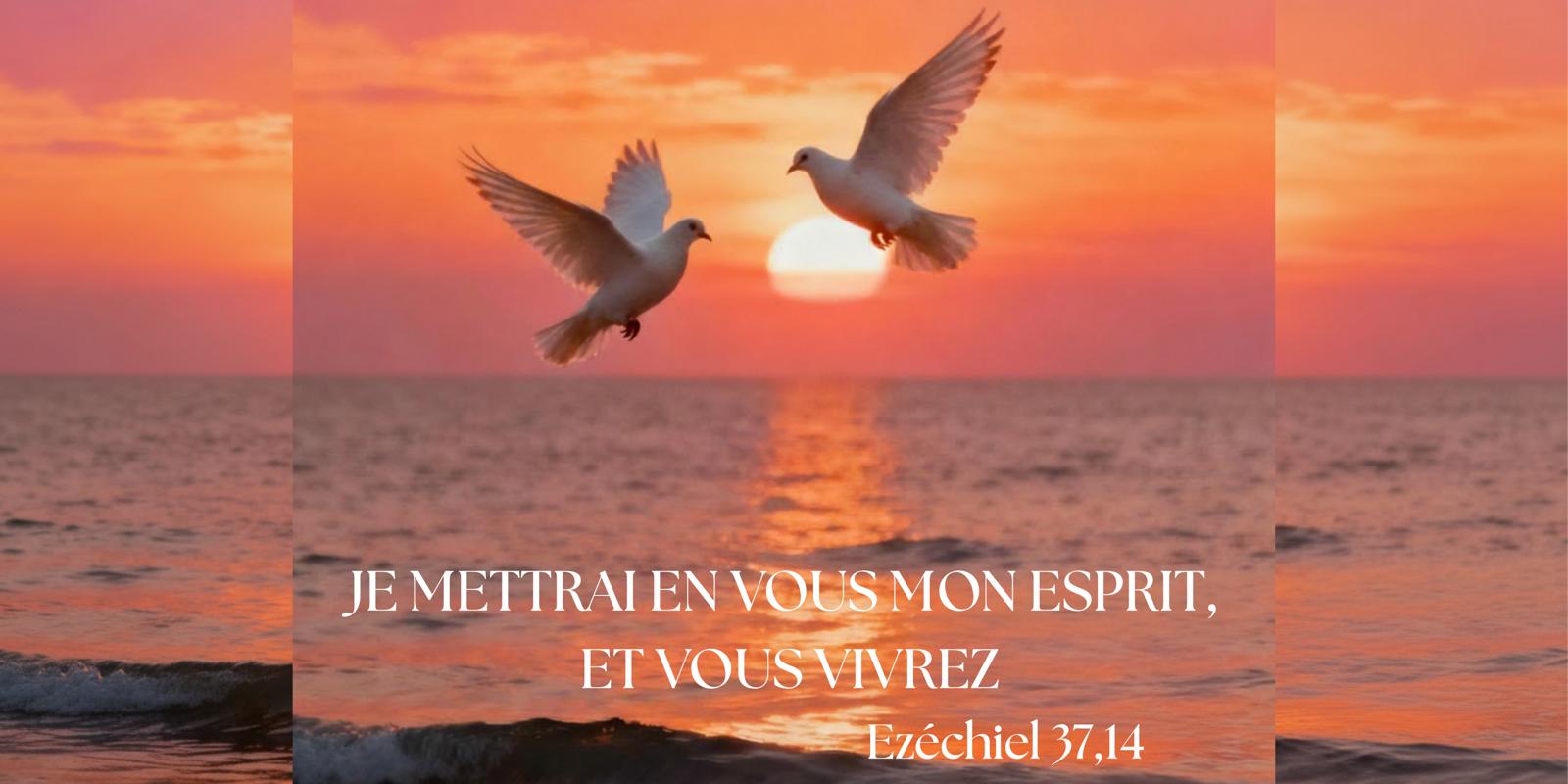 WhatsApp Image 2025-11-17 à 17.07.15_a0b6865Fréd