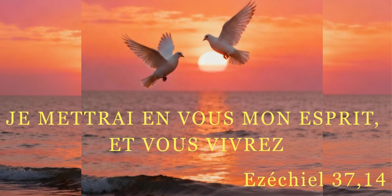 WhatsApp Image 2026-01-06 at 21.23.29